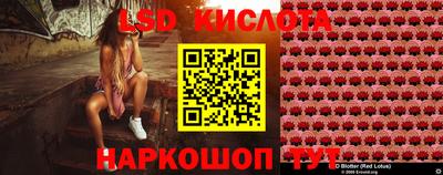 ешки Будённовск