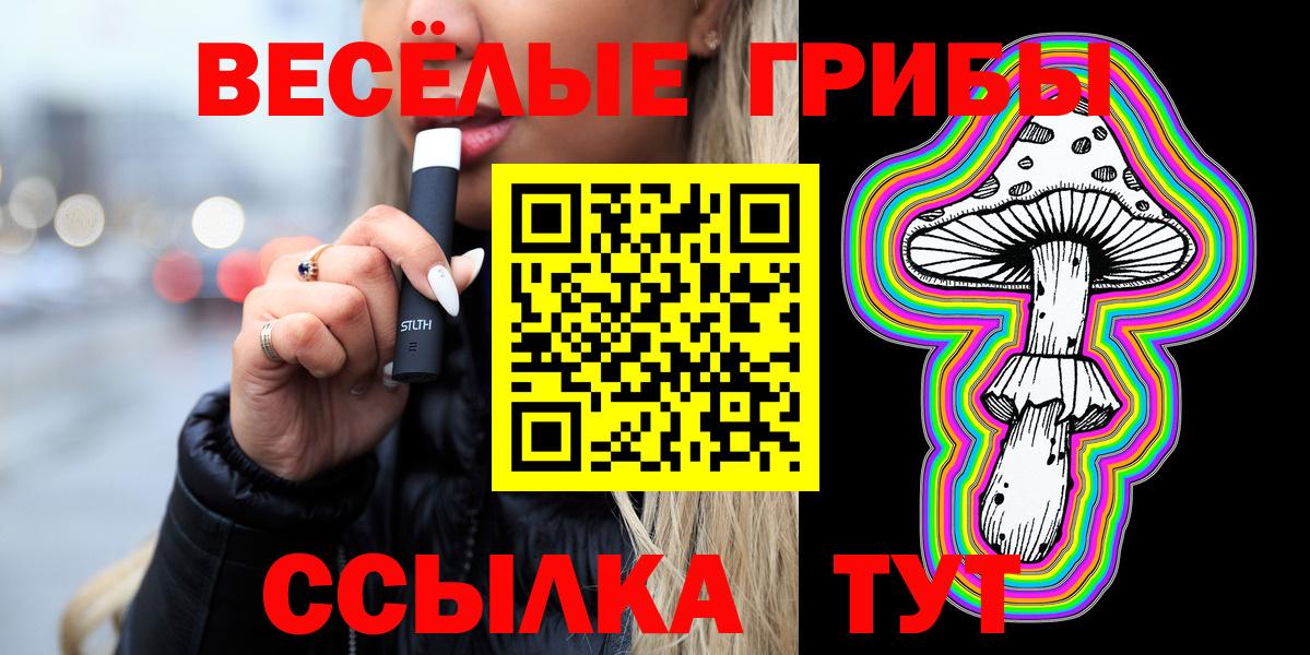 Псилоцибиновые грибы Cubensis Шебекино