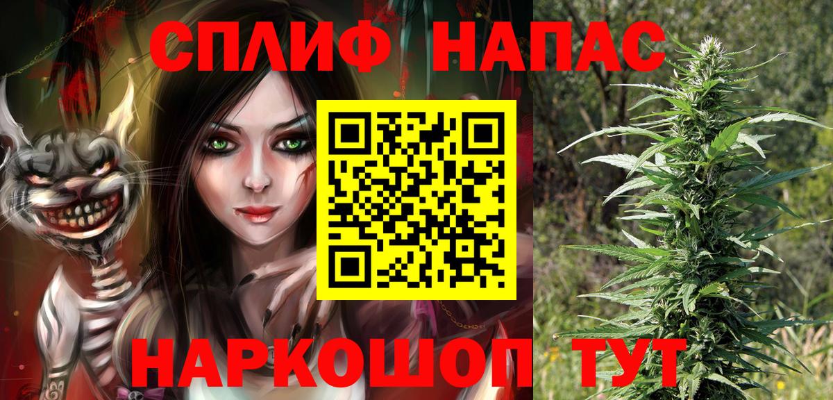 Бошки Шишки планчик Шебекино